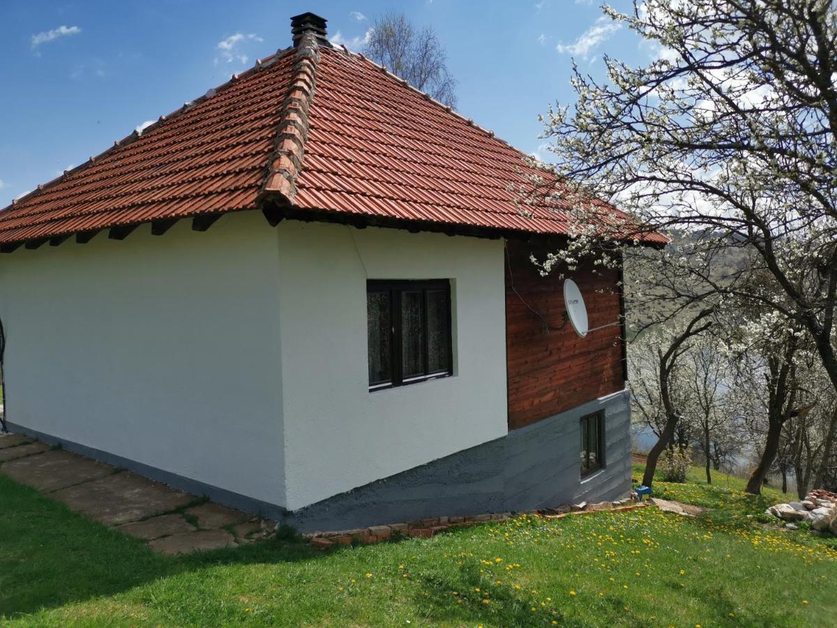 Willa Uvac Griffon Nova Varoš Zewnętrze zdjęcie